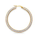 FULL CIRCLE Earring/ Hoops