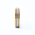 TRIPLETS M Earrings