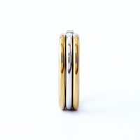 TRIPLETS M Earrings